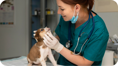 Con asistencia veterinaria 24/7